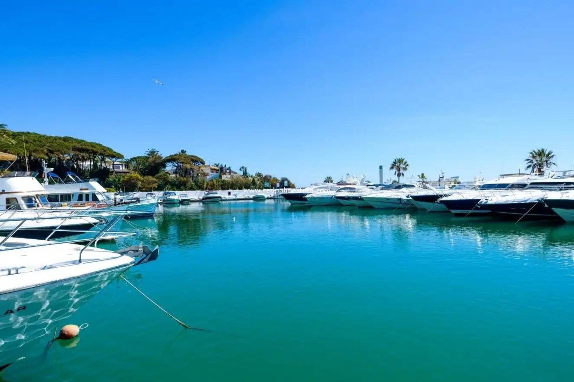 Nybygg - Leiligheter -
Marbella - Cabopino Golf