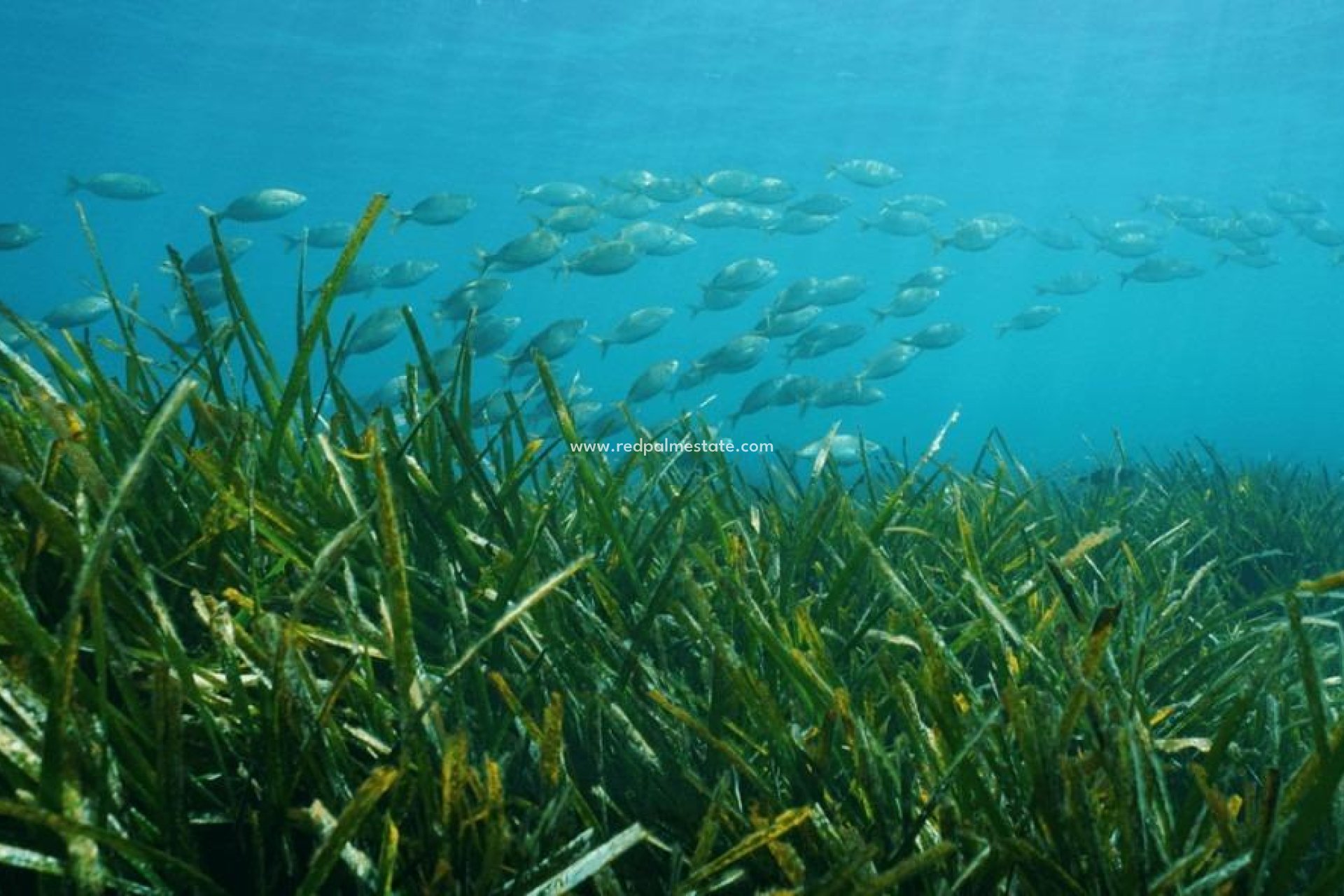 Nybygg - Villa -
Benissa - Racó Del Galeno