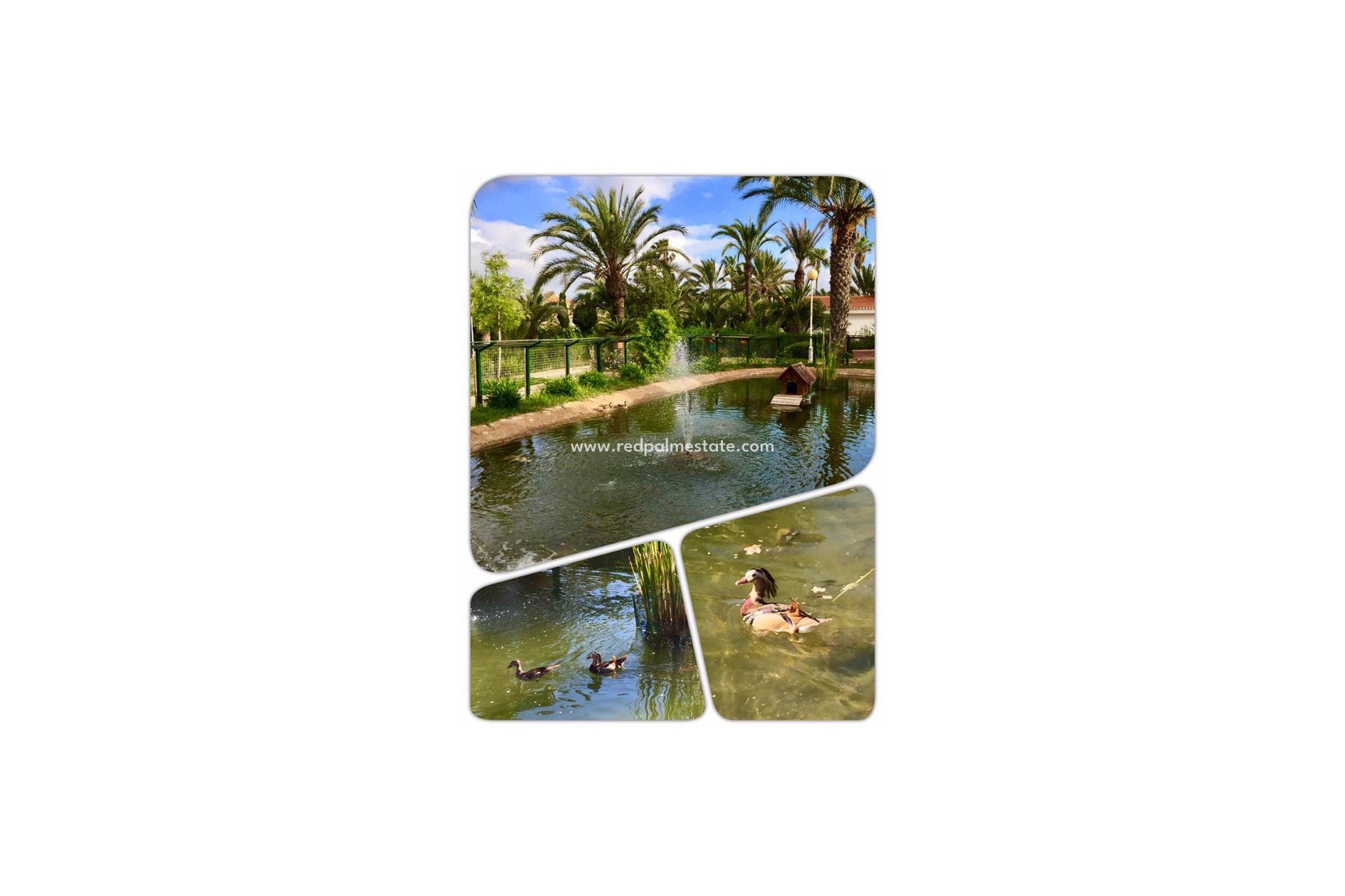 Nybygg - Villa -
MURCIA - Murcia