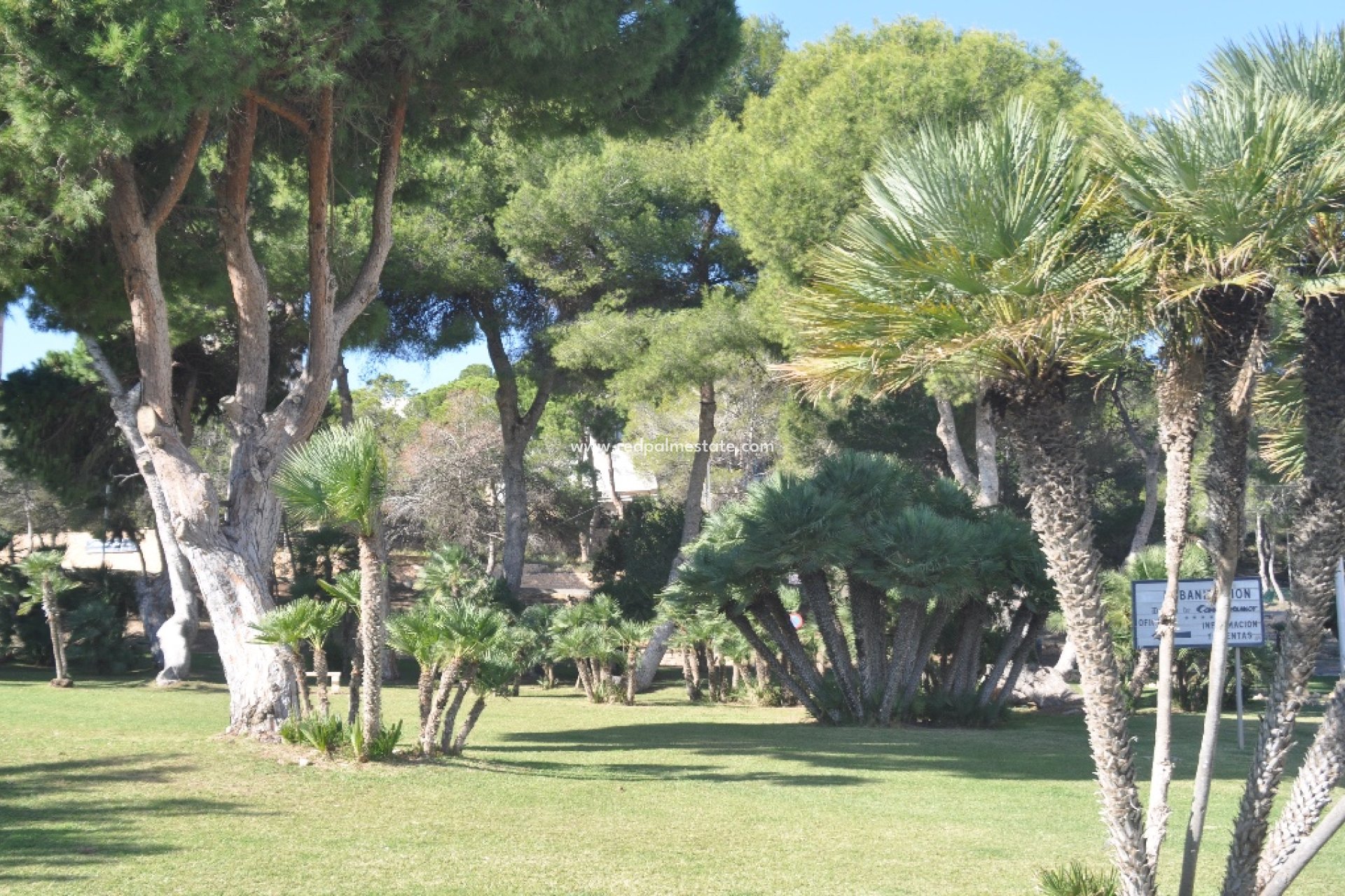 Nybygg - Villa -
Orihuela Costa - Dehesa de campoamor