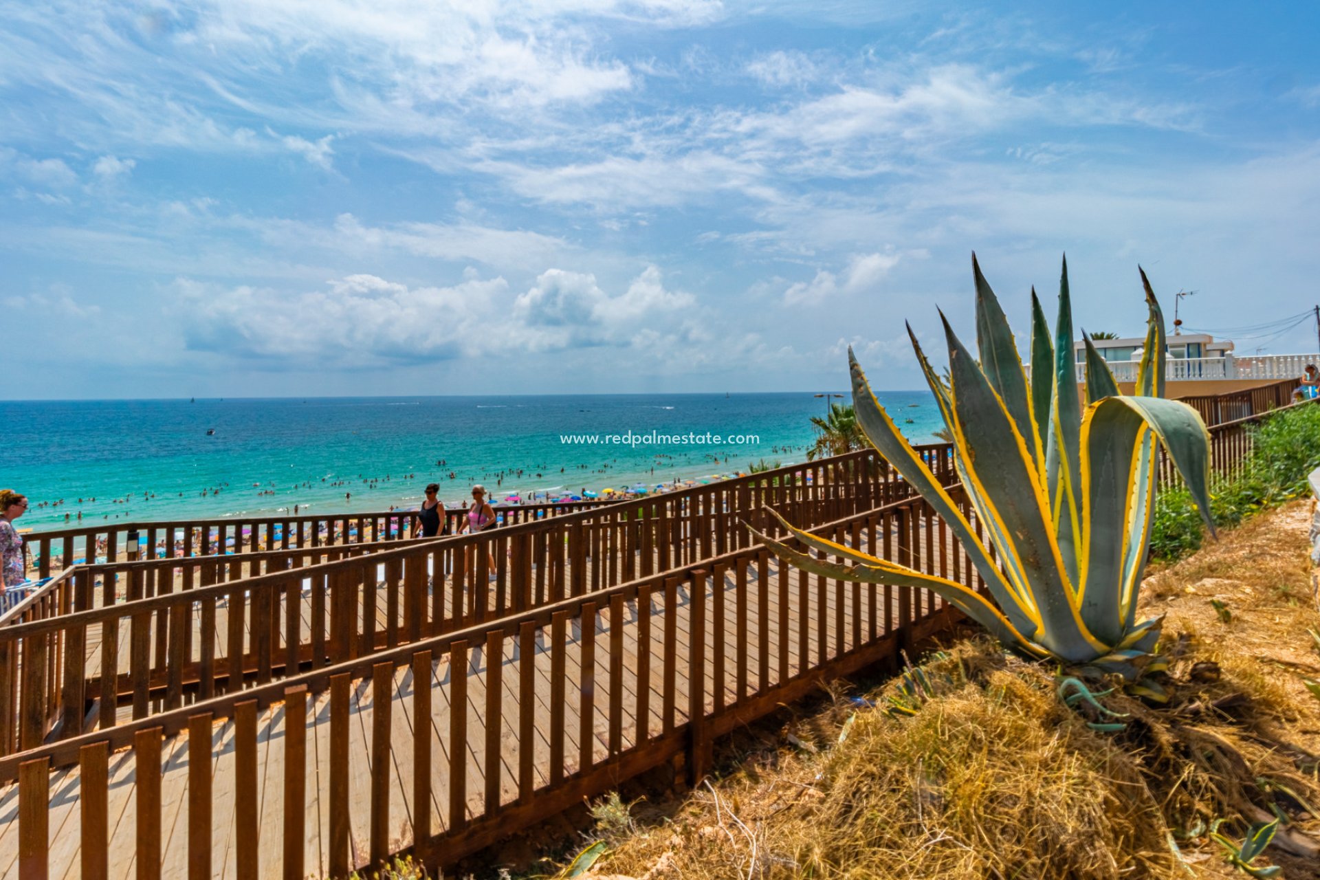 Nybygg - Villa -
Orihuela Costa - La Zenia