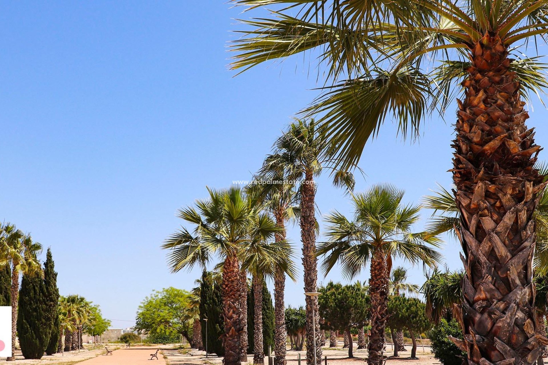 Nybygg - Villa -
San Fulgencio - La Escuera