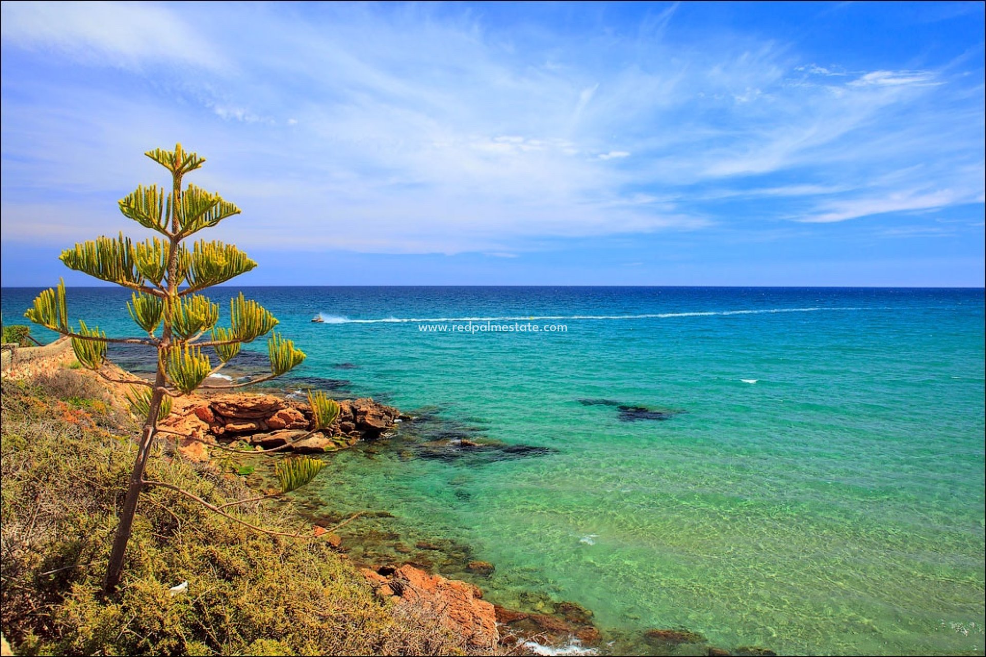 Nybygg - Villa -
Torrevieja - Los Altos