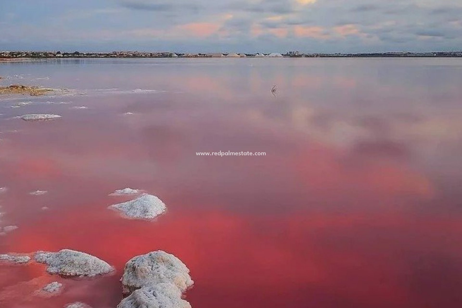 Nybygg - Villa -
Torrevieja - Los Balcones - Los Altos del Edén