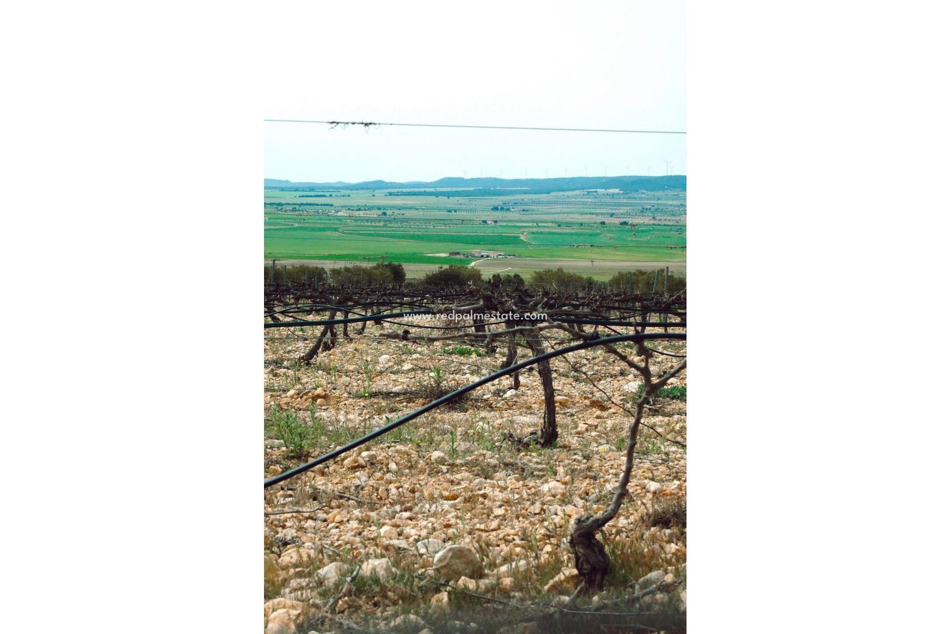 Nybygg - Villa -
Yecla