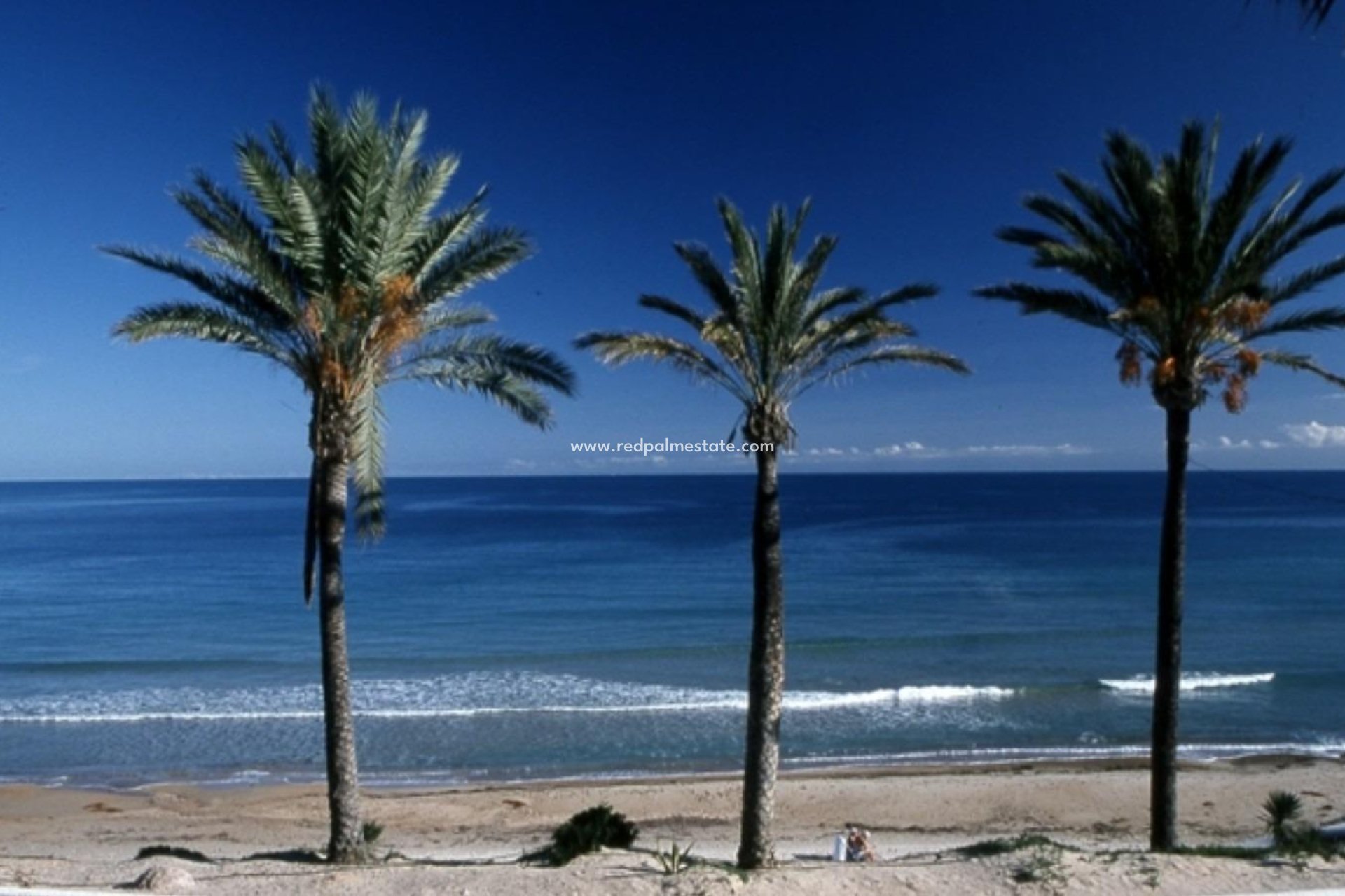 Nybyggnation - Bungalow -
Pilar de la Horadada - Parque Ramon eugenio Escudero