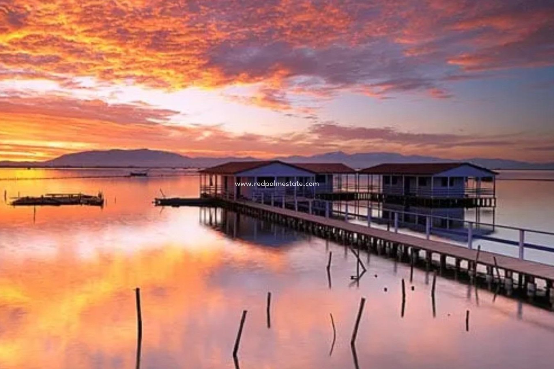 Nybyggnation - Bungalow -
San Pedro del Pinatar - Los Pinos