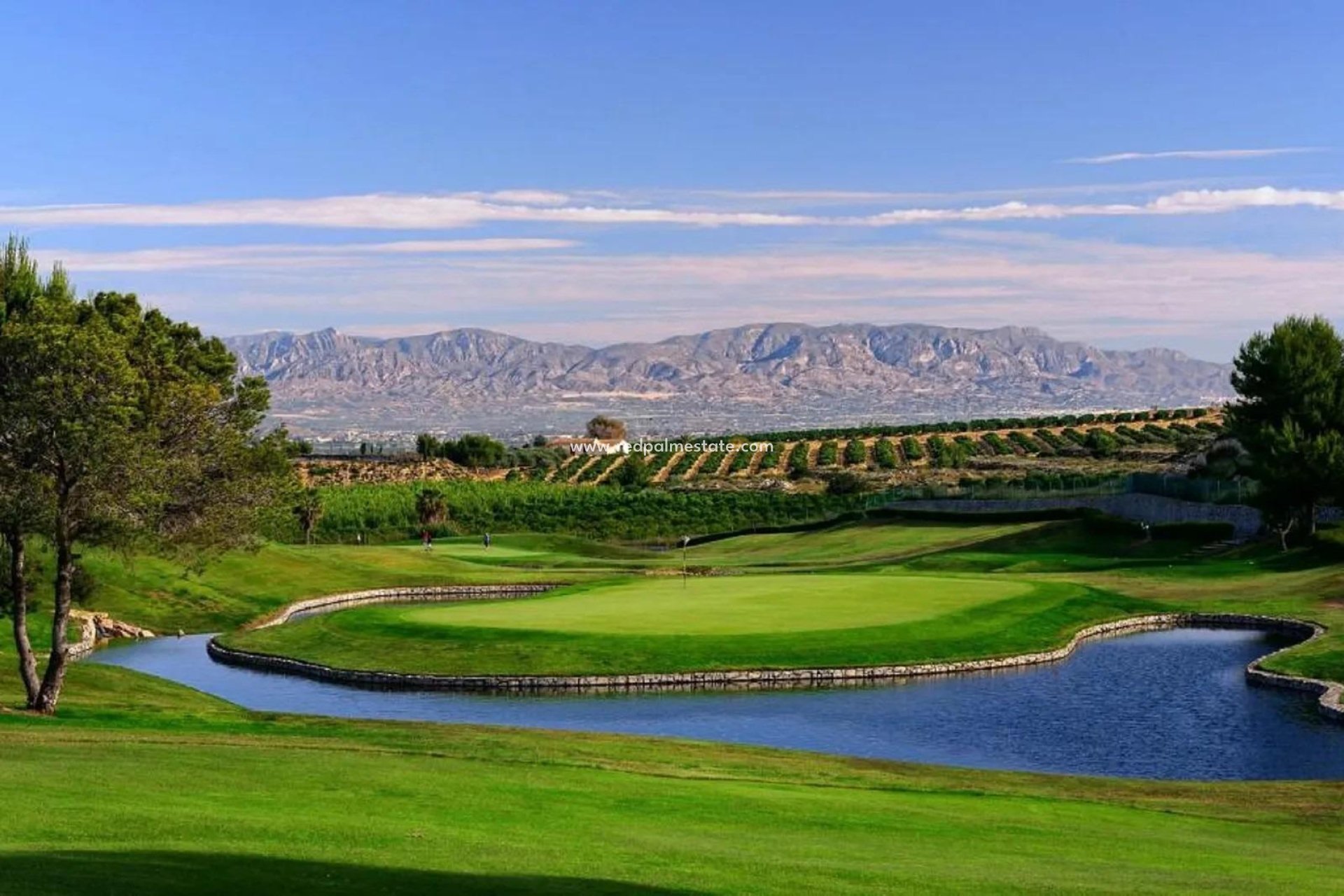 Nybyggnation - Fristående villa -
Algorfa - La Finca Golf