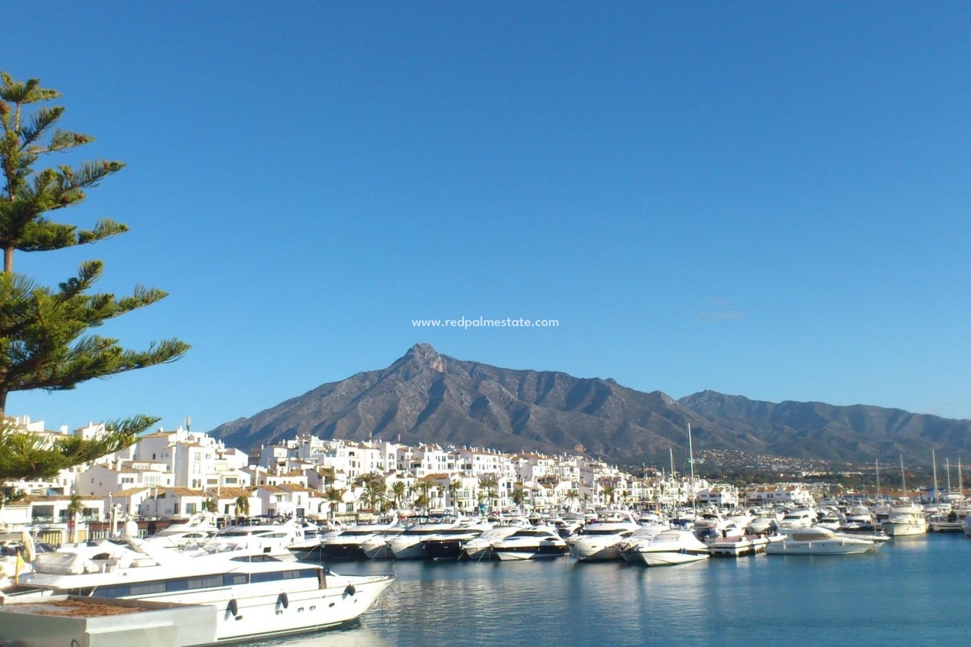 Nybyggnation - Lägenhet -
Marbella - Nueva Andalucia
