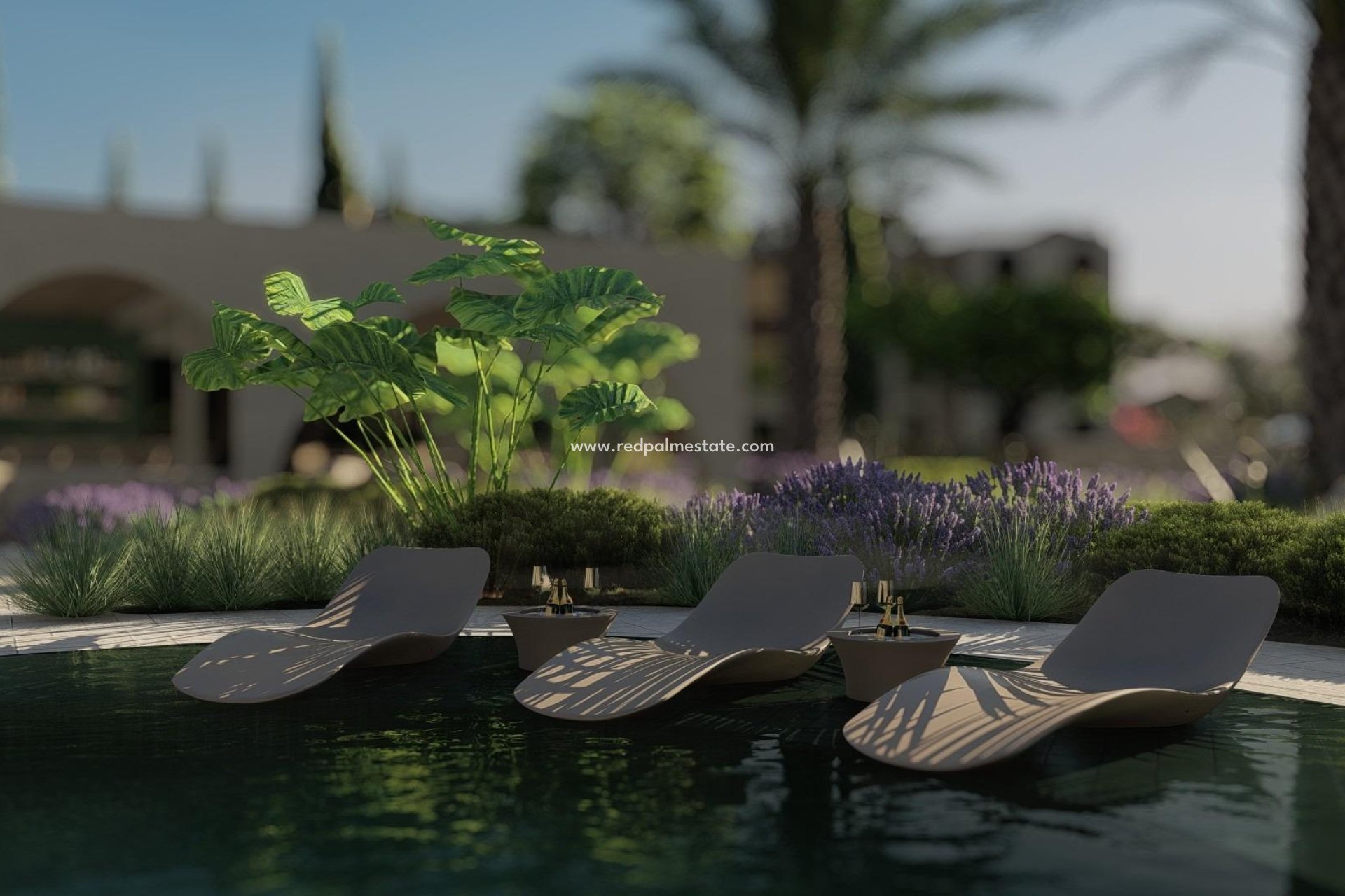 Nybyggnation - Lägenhet -
Monda - Guaro