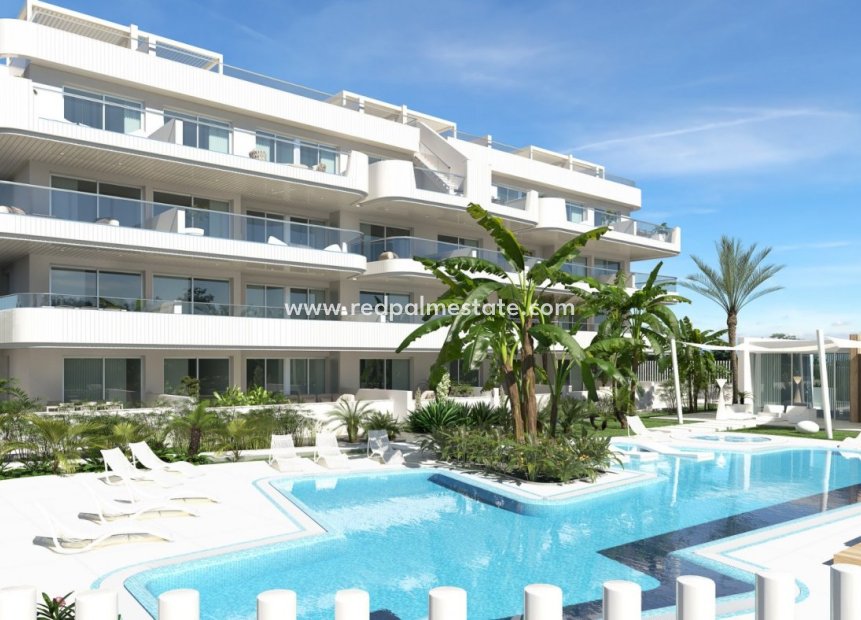 Nybyggnation - Lägenhet Penthouse -
Orihuela Costa - Lomas de Cabo Roig