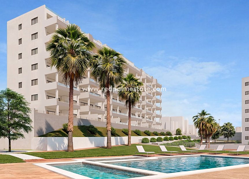 Nybyggnation - Lägenhet -
San Miguel de Salinas