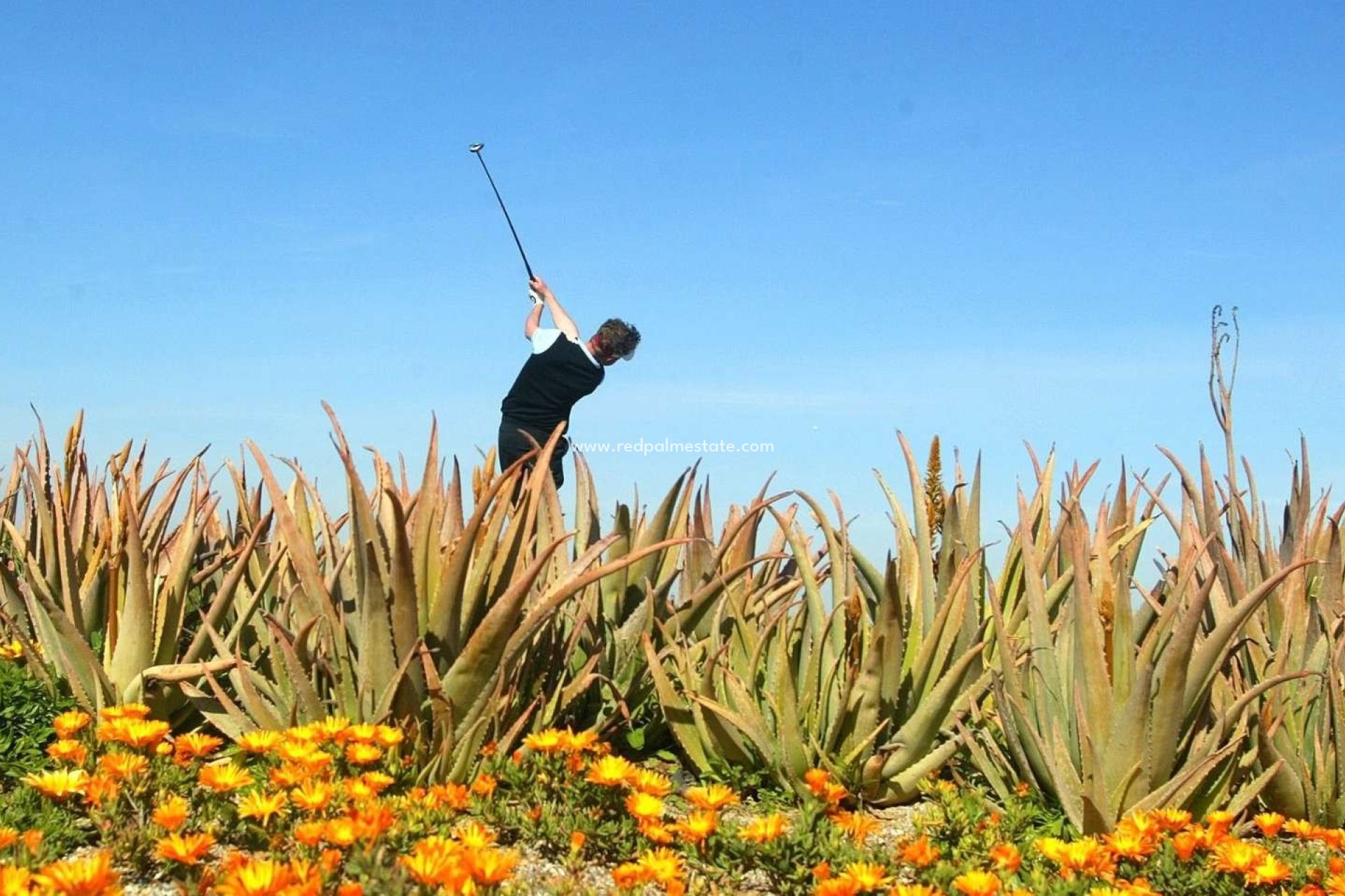 Nybyggnation - Lägenheter -
Cuevas Del Almanzora - Villaricos