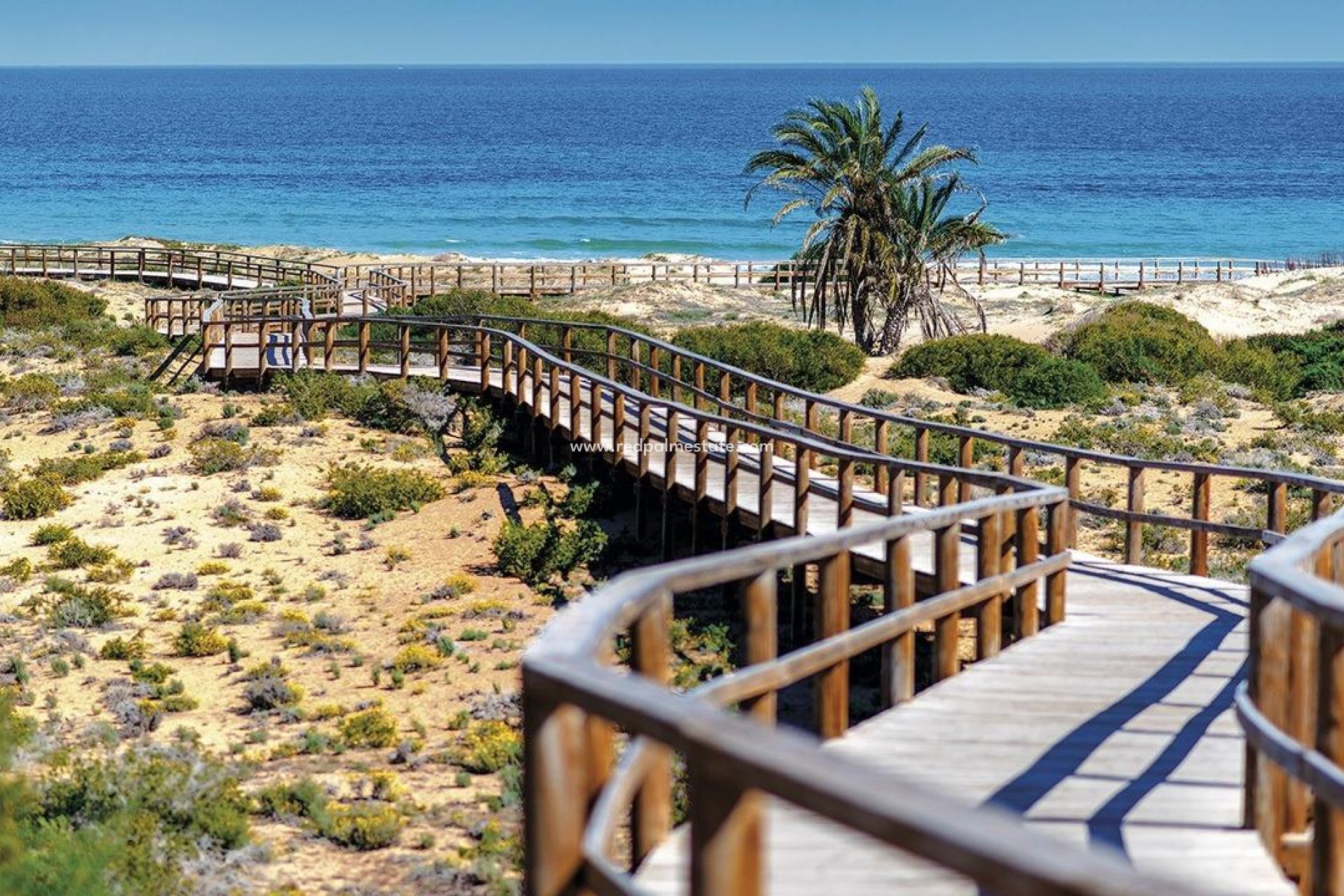 Nybyggnation - Lägenheter -
Monforte del Cid - Alenda Golf