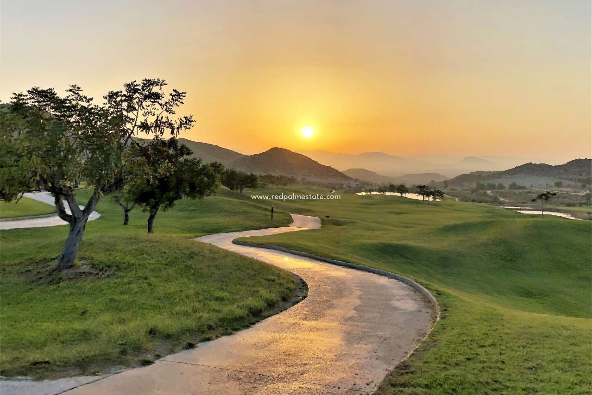 Nybyggnation - Lägenheter -
Monforte del Cid - Font del Llop