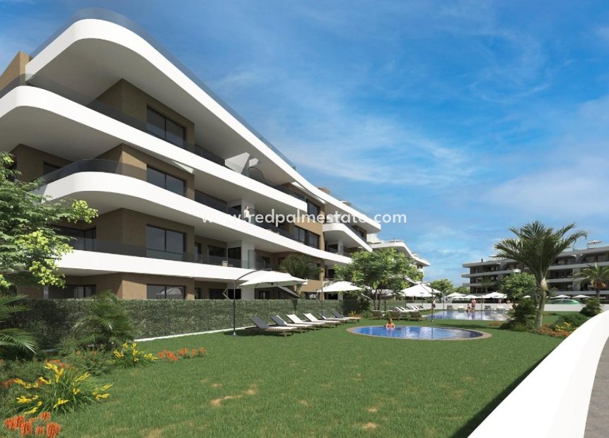 Nybyggnation - Lägenheter -
Torrevieja - Punta prima