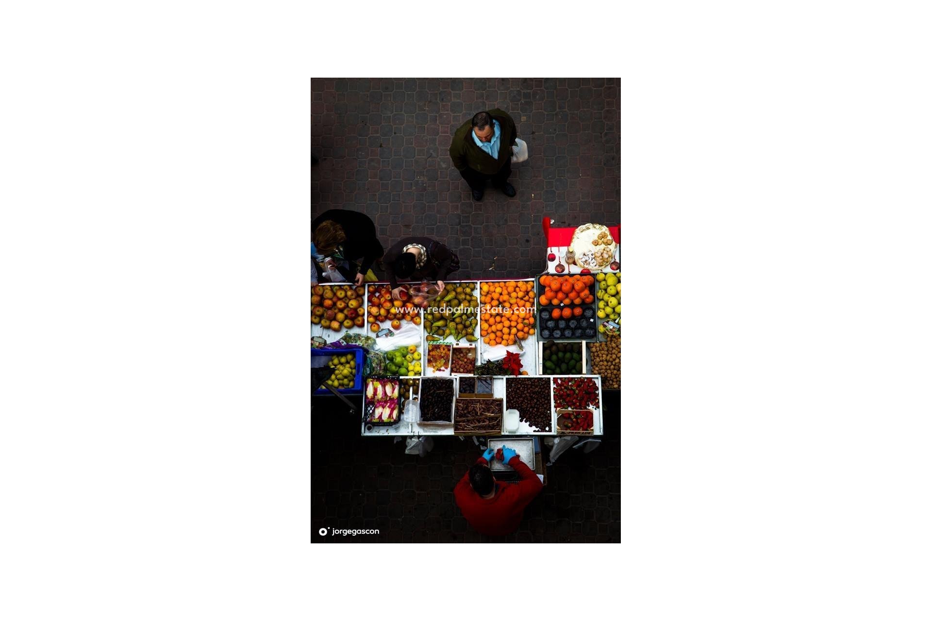 Nybyggnation - Radhus -
Dolores - Sector 2