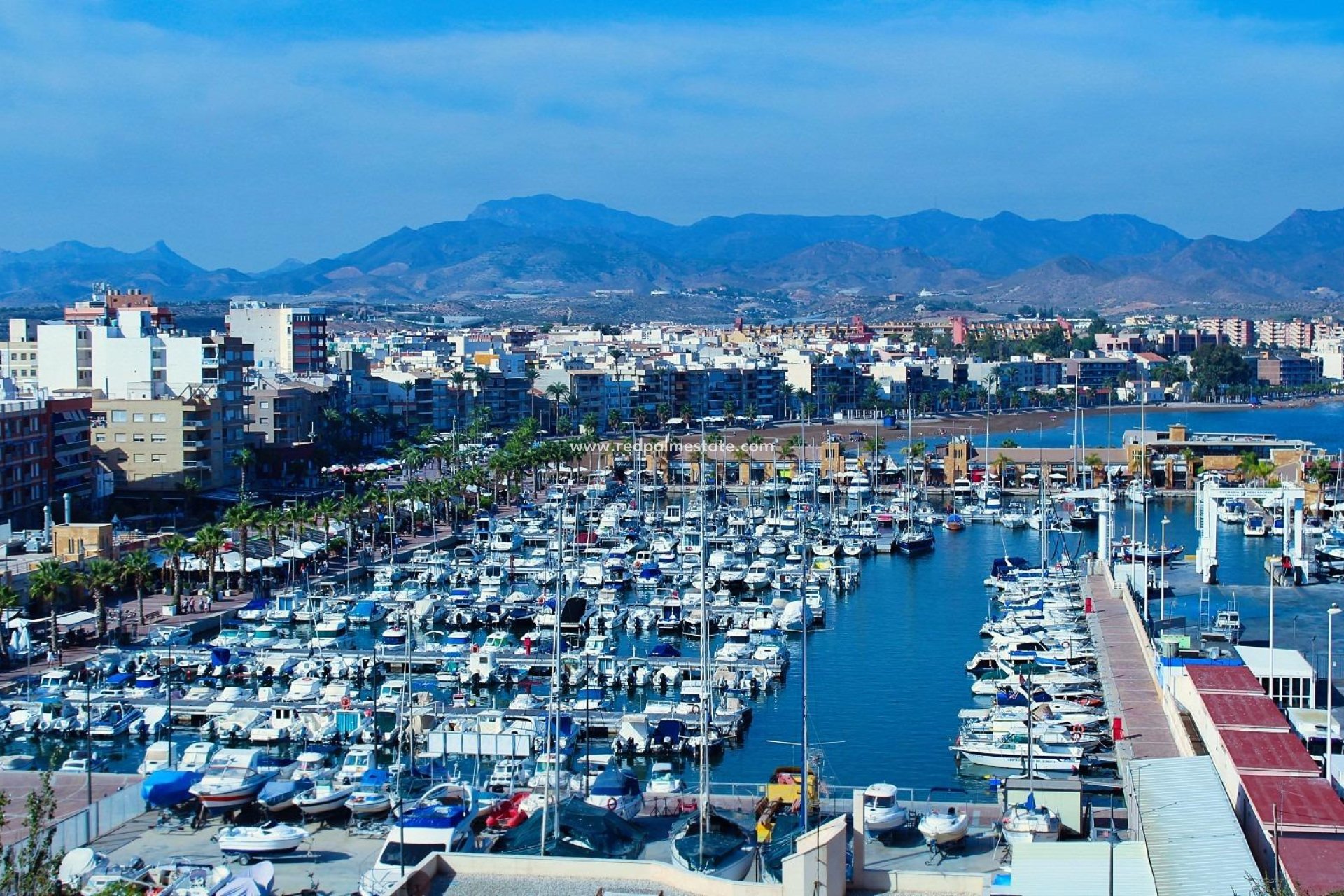 Nybyggnation - Radhus -
Fuente Álamo - La Pinilla