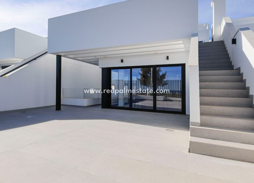 Nybyggnation - Villa -
Guardamar del Segura - Guardamar