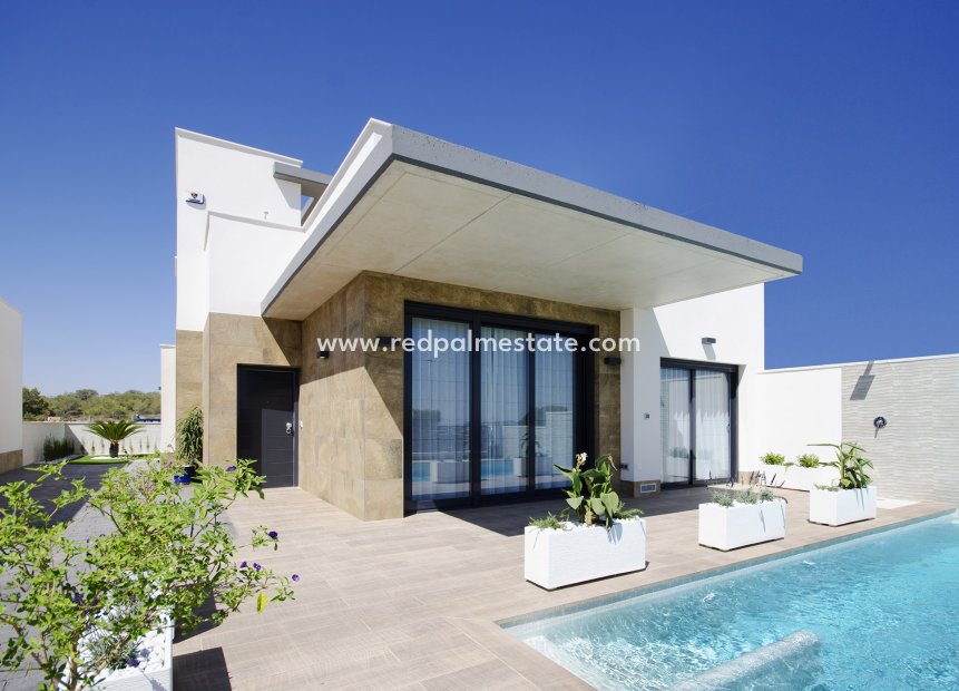 Nybyggnation - Villa -
San Miguel de Salinas