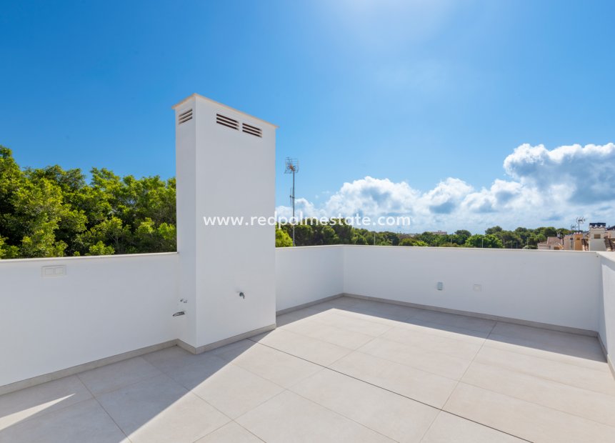 Nybyggnation - Villa -
Torre de la Horadada - Mil Palmeras