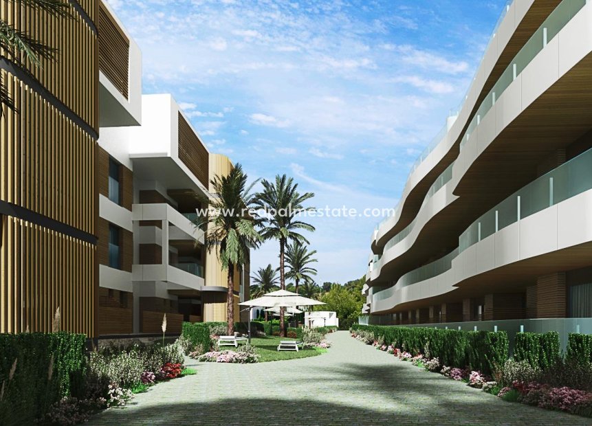Obra nueva - Aparcamiento -
Orihuela Costa - Playa Flamenca
