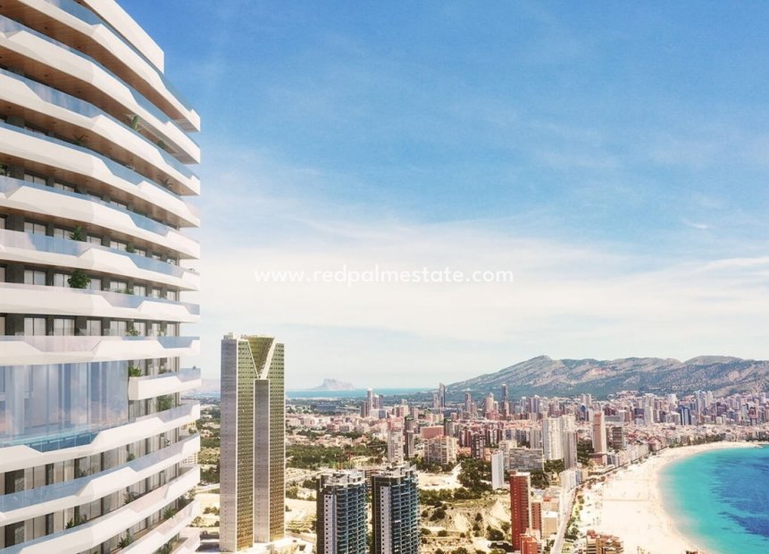 Obra nueva - Apartamento Ático -
Benidorm - Poniente