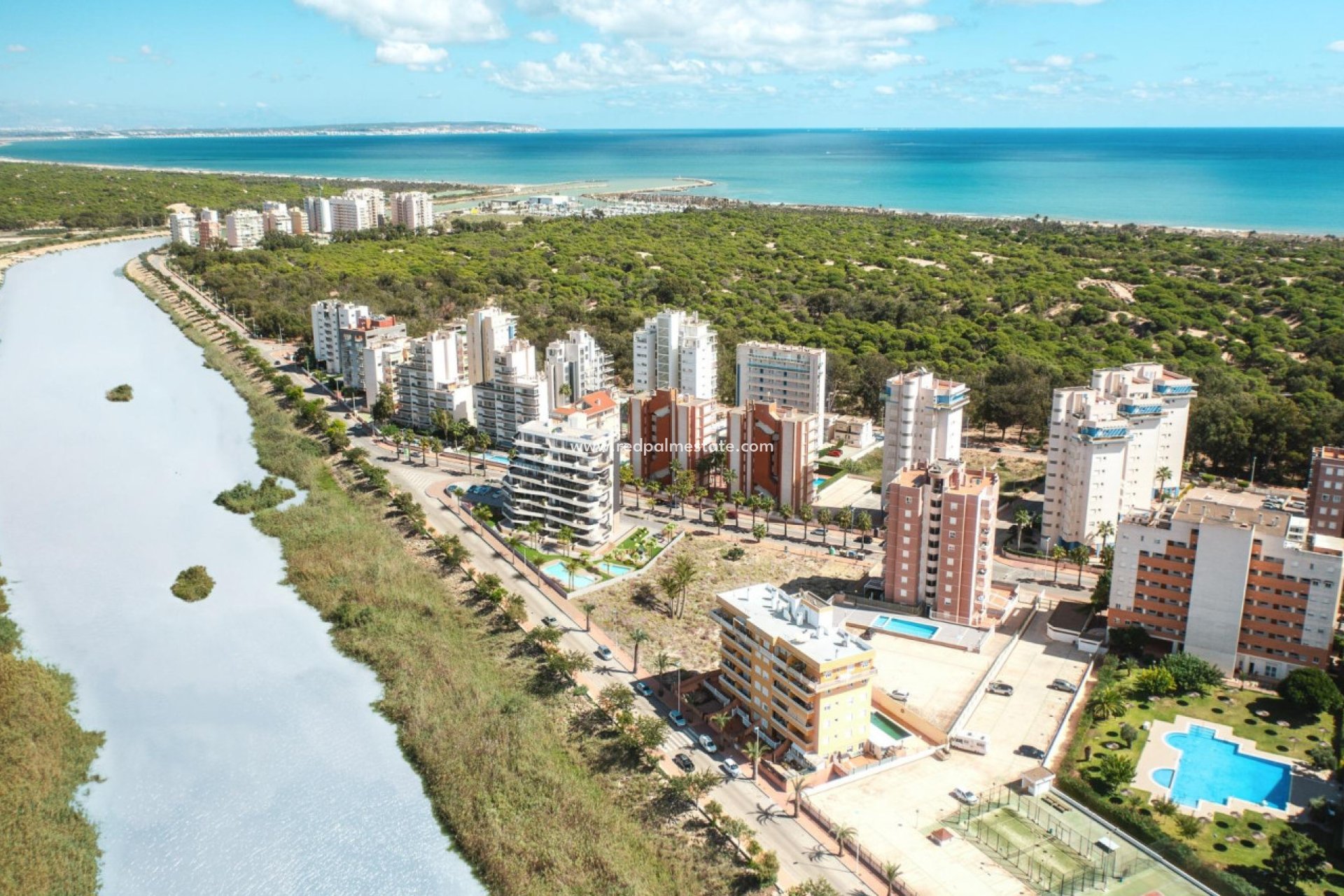 Obra nueva - Apartamento Ático -
Guardamar del Segura - Puerto