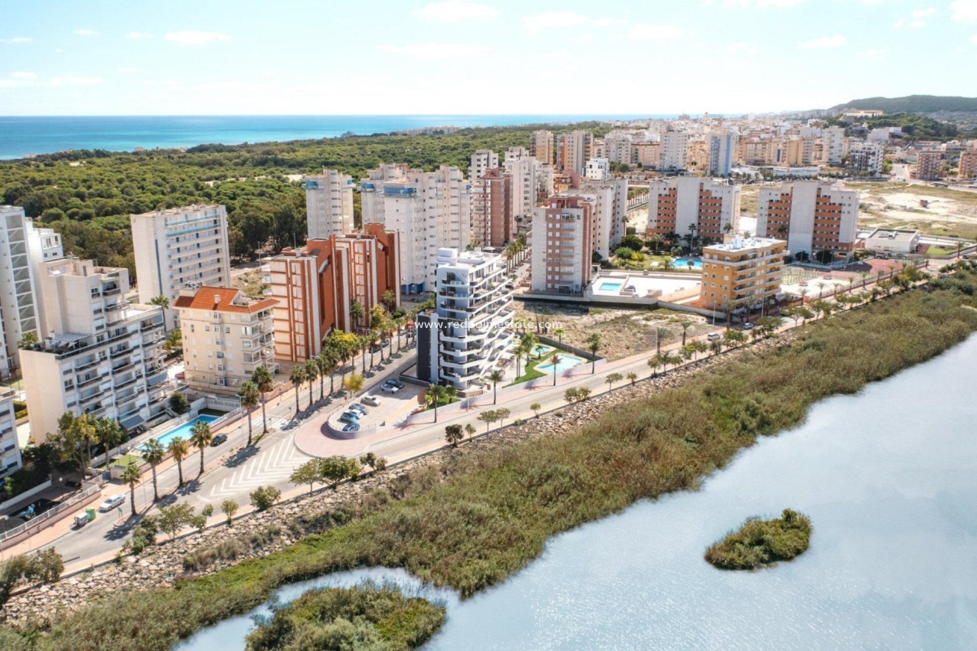 Obra nueva - Apartamento Ático -
Guardamar del Segura - Puerto