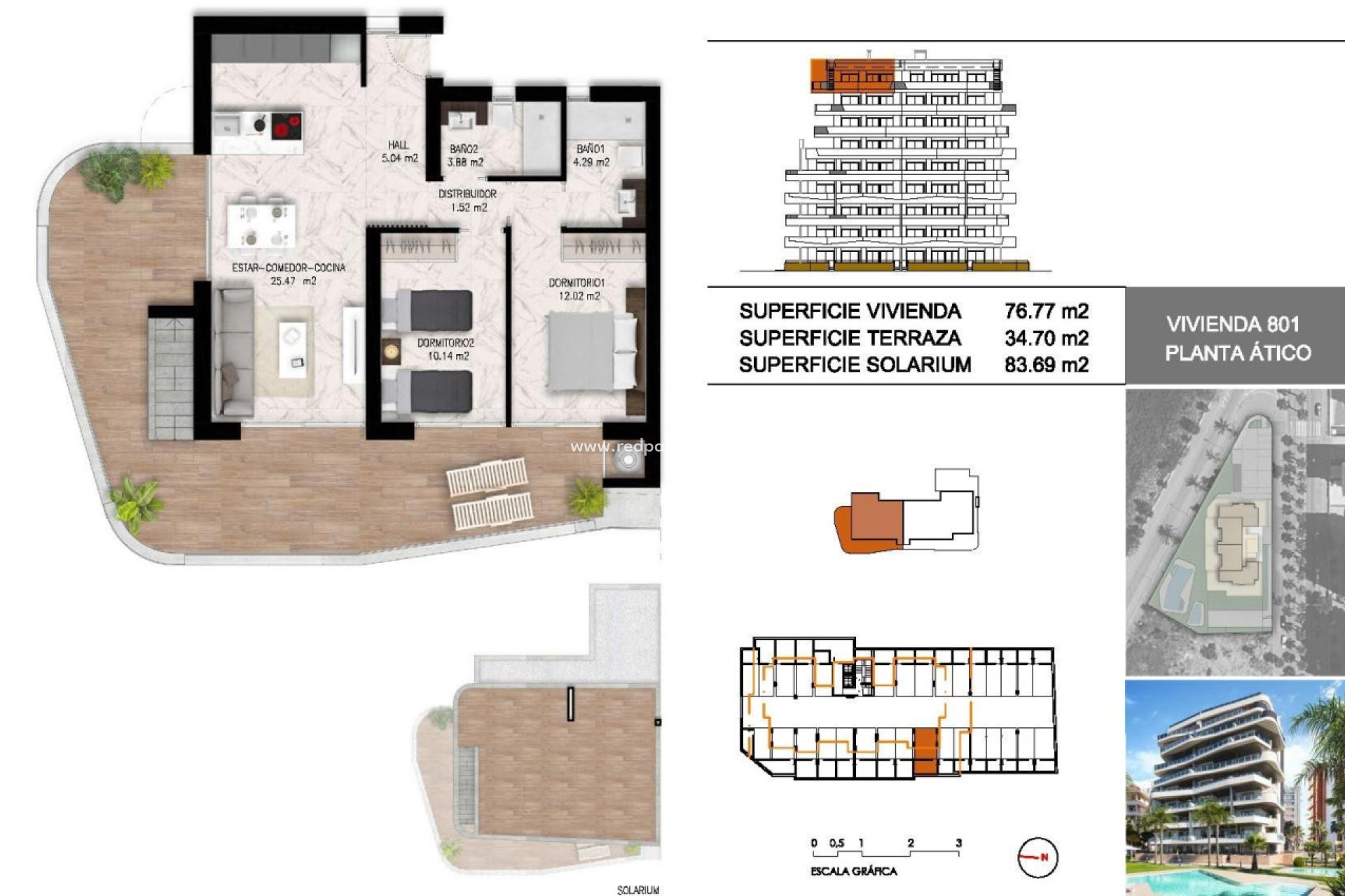 Obra nueva - Apartamento Ático -
Guardamar del Segura - Puerto