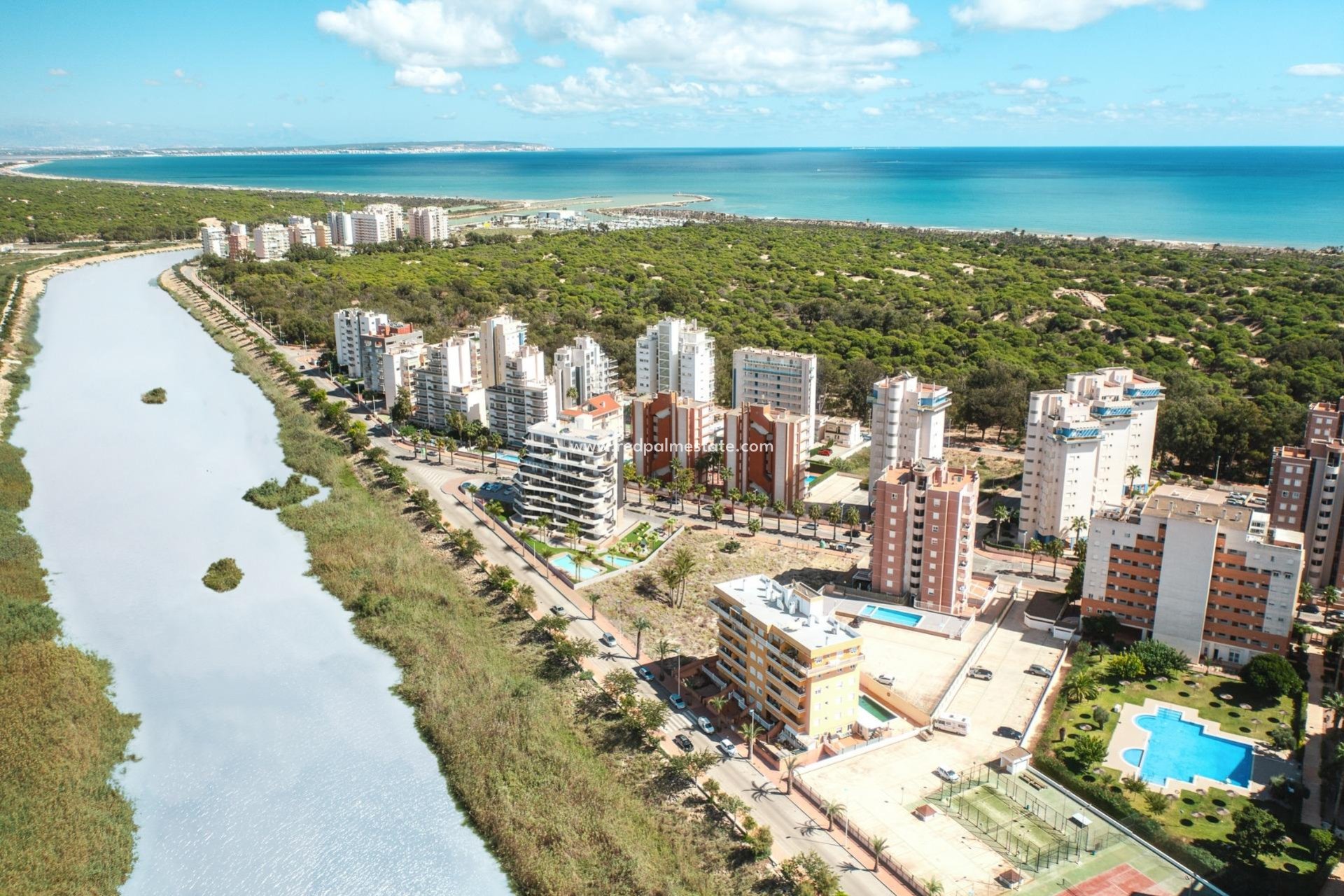 Obra nueva - Apartamento Ático -
Guardamar del Segura - Puerto