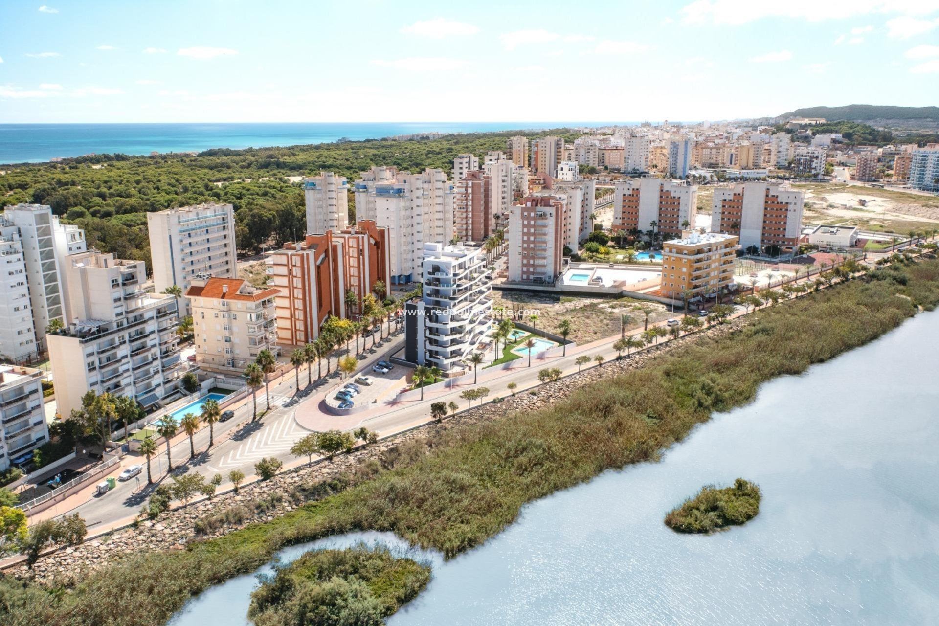 Obra nueva - Apartamento Ático -
Guardamar del Segura - Puerto