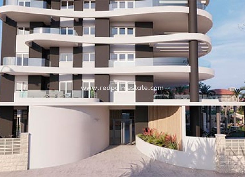 Obra nueva - Apartamento -
Calpe