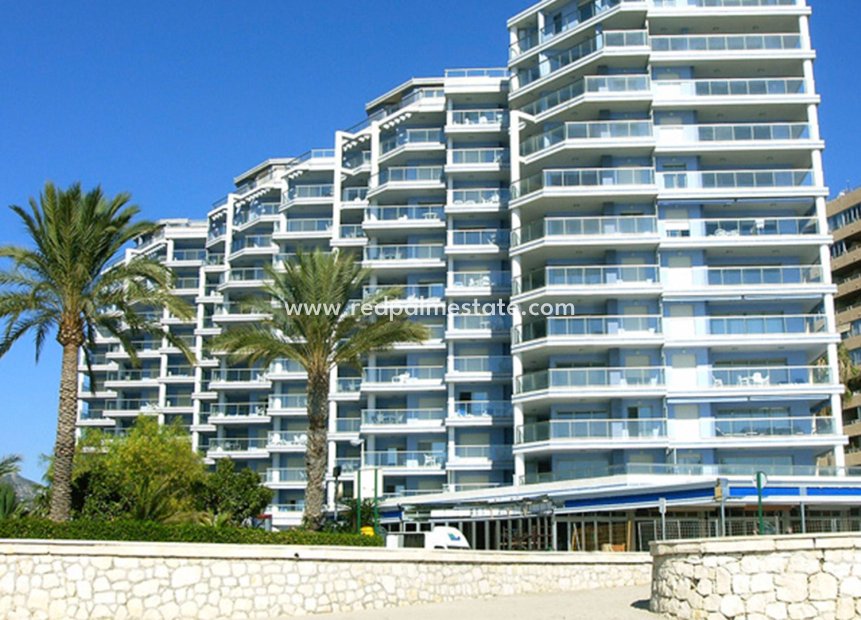 Obra nueva - Apartamento -
Calpe