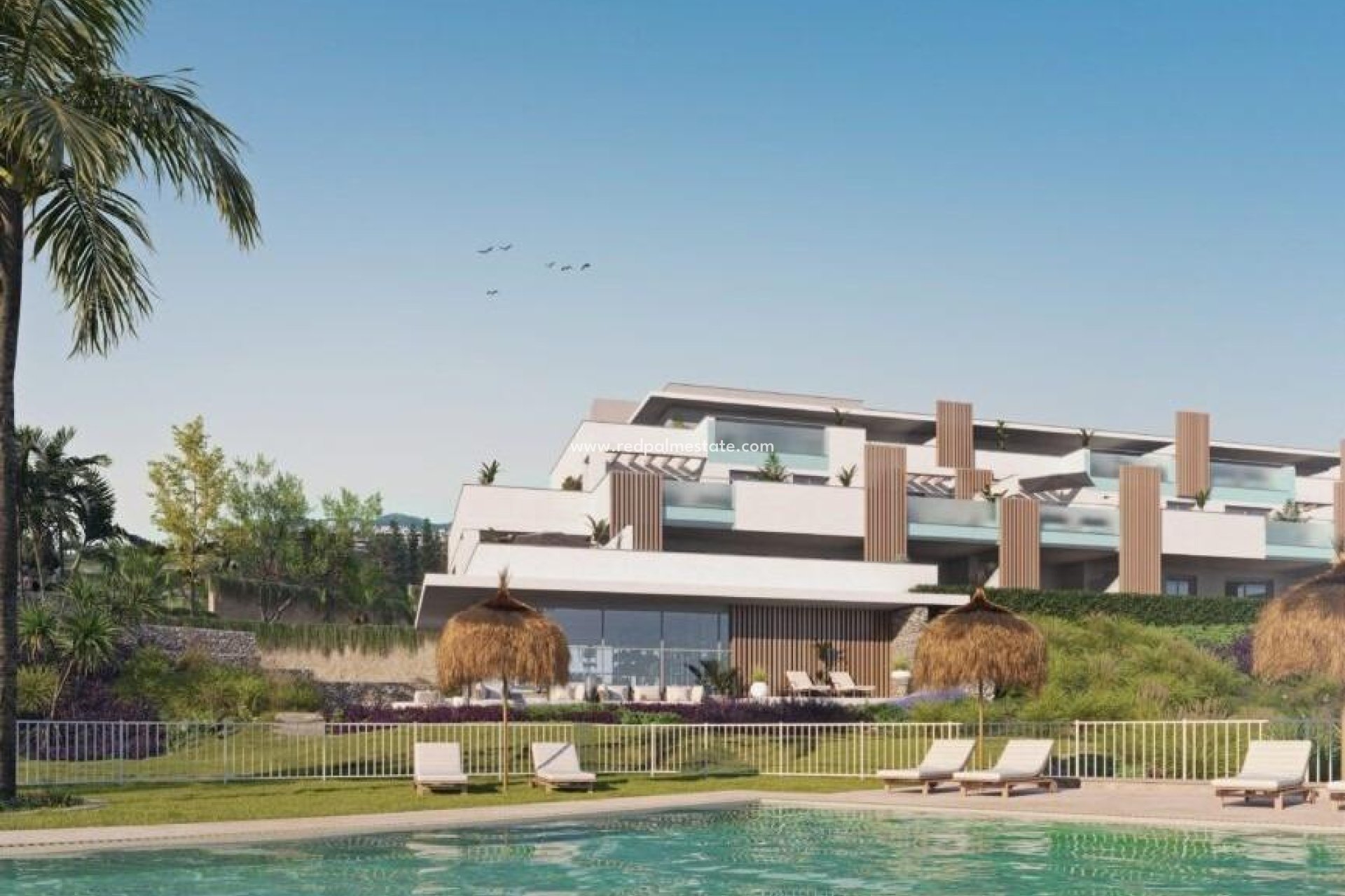 Obra nueva - Apartamento -
Casares - Doña Julia