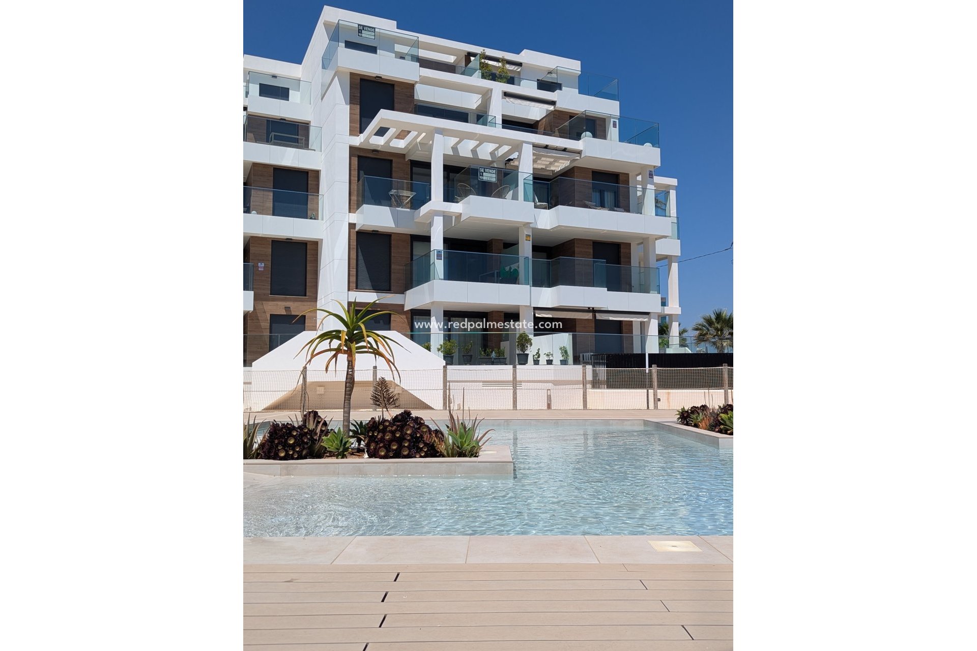 Obra nueva - Apartamento -
Denia