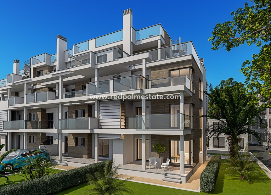 Obra nueva - Apartamento -
Denia