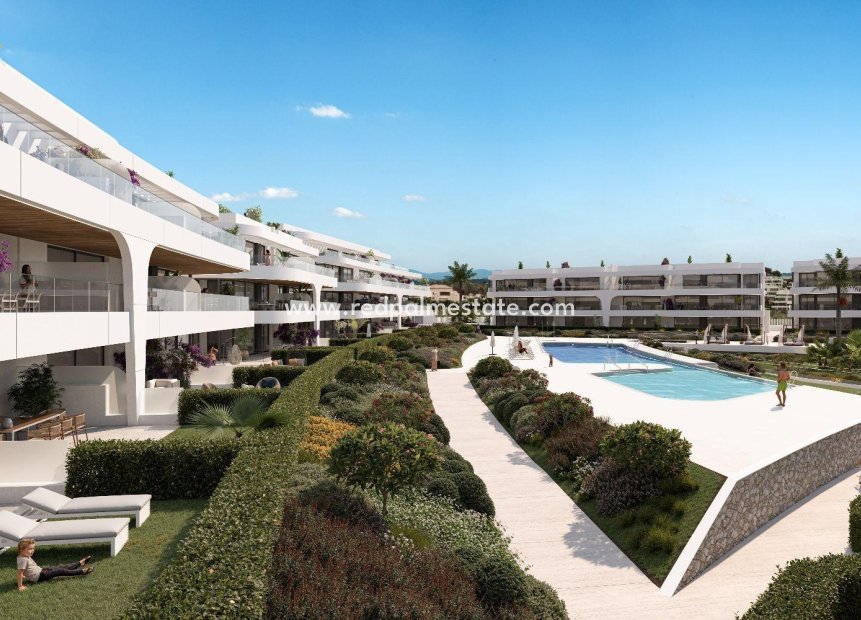 Obra nueva - Apartamento -
Estepona - Atalaya