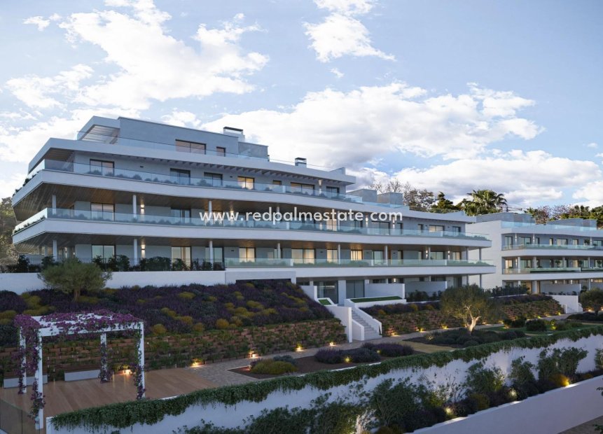 Obra nueva - Apartamento -
Estepona - Parque Selwo