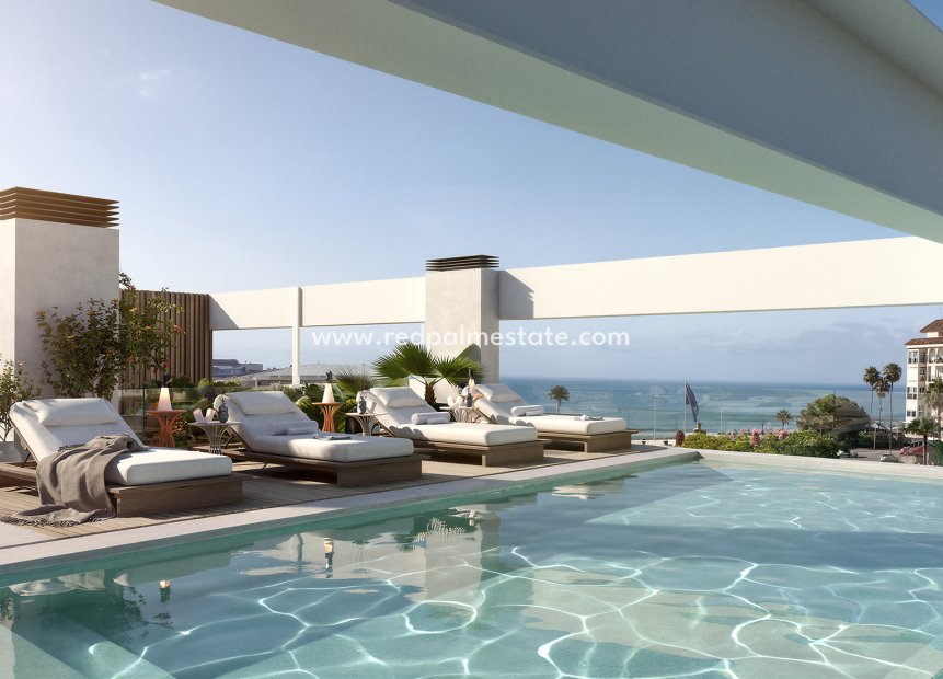 Obra nueva - Apartamento -
Estepona