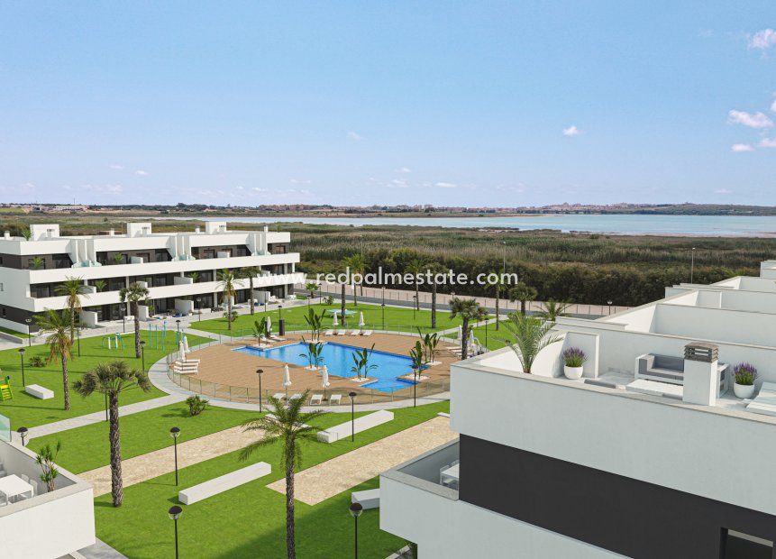 Obra nueva - Apartamento -
Guardamar del Segura - Guardamar