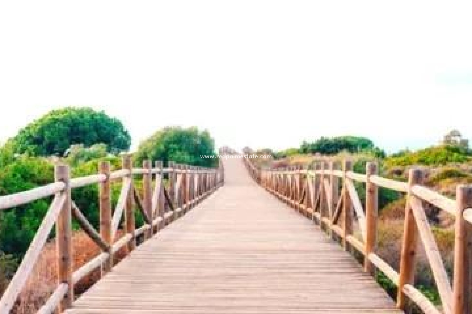 Obra nueva - Apartamento -
Marbella - Cabopino