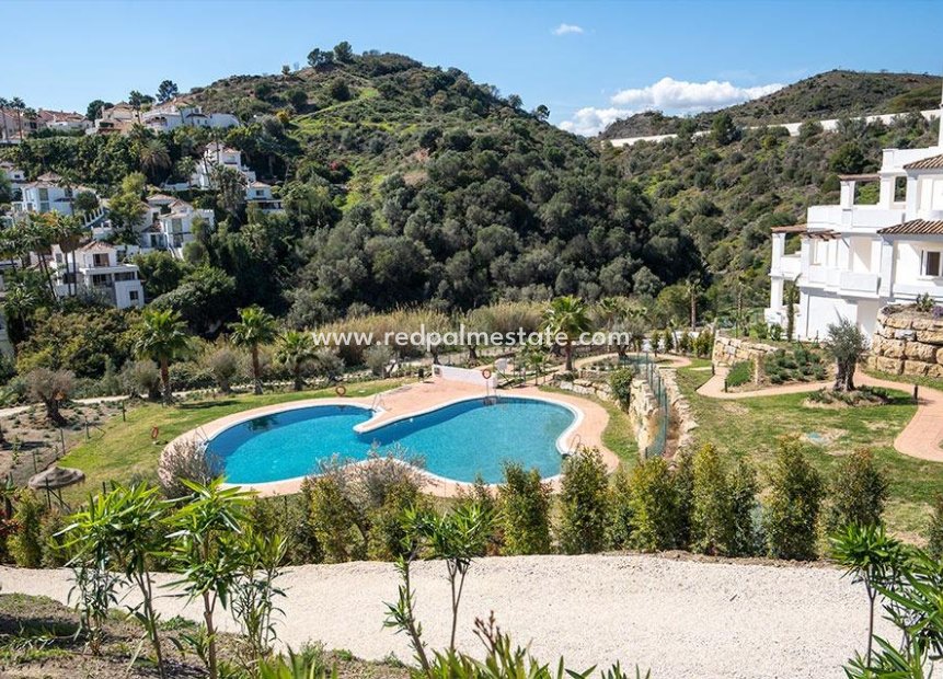 Obra nueva - Apartamento -
Marbella - Nueva Andalucia