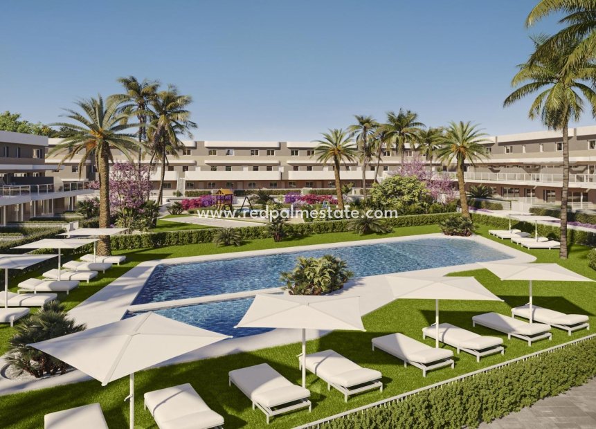Obra nueva - Apartamento -
Monforte del Cid - Alenda Golf