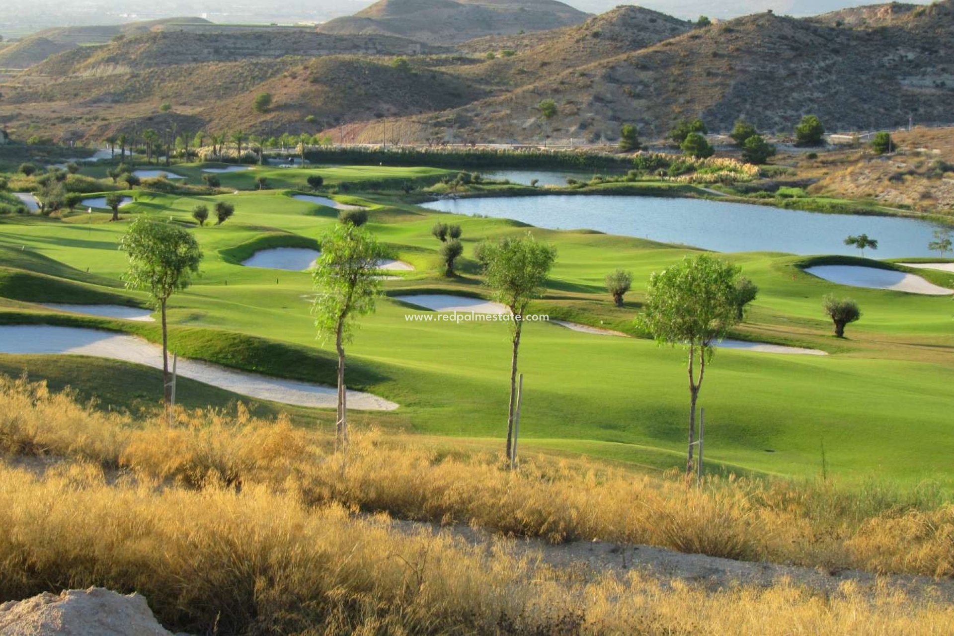 Obra nueva - Apartamento -
Monforte del Cid - Font del Llop