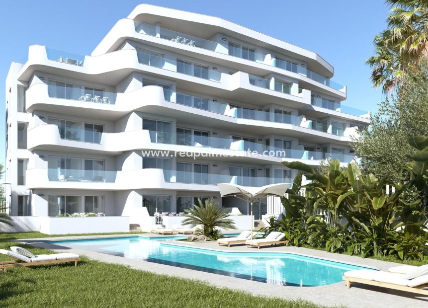 Obra nueva - Apartamento -
Pilar de la Horadada - Mil Palmeras