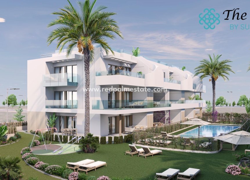 Obra nueva - Apartamento -
Pilar de la Horadada