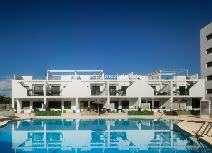 Obra nueva - Apartamento -
Torre de la Horadada - Mil Palmeras