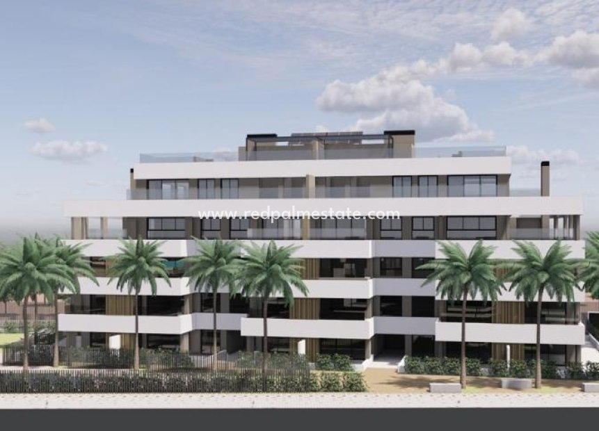 Obra nueva - Apartamento -
Torre Pacheco - Santa Rosalia