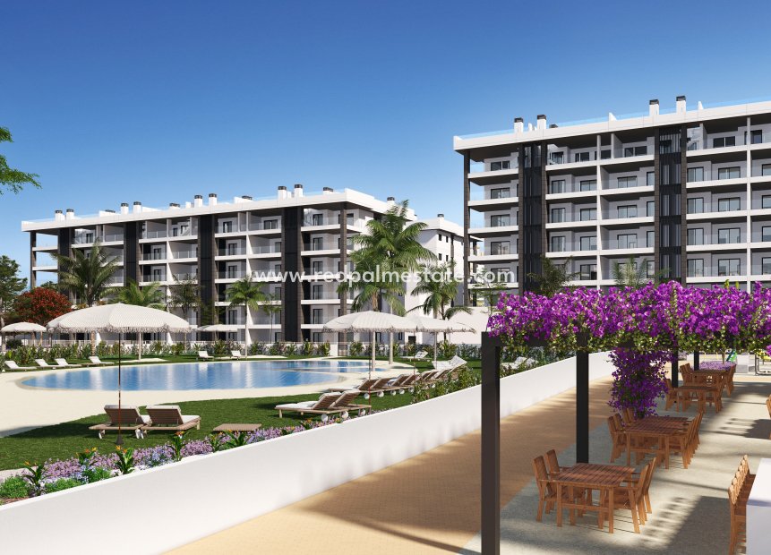 Obra nueva - Apartamento -
Torrevieja
